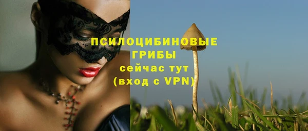 стаф Алексин