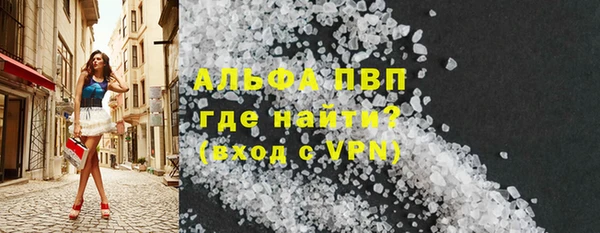 стаф Алексин