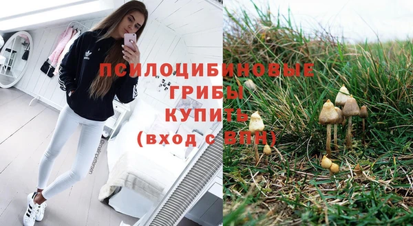 бутират Алексеевка