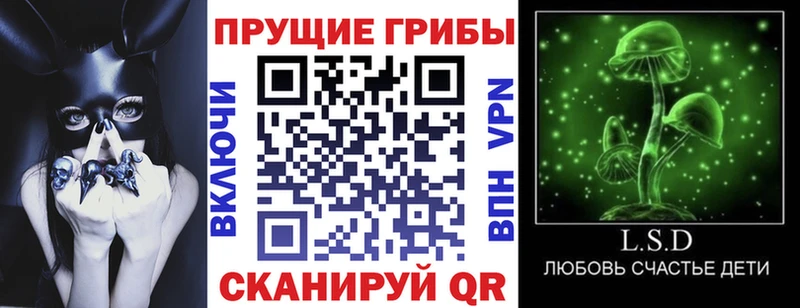 Галлюциногенные грибы Magic Shrooms  это наркотические препараты  Аргун  где найти  