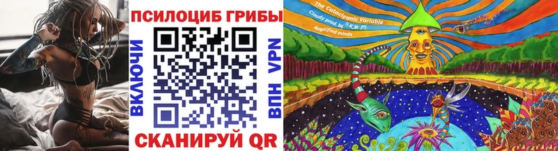 Псилоцибиновые грибы Cubensis Аргун